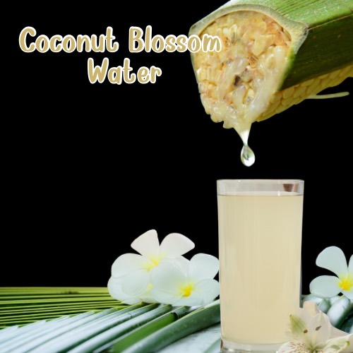 น้ำช่อดอกมะพร้าว เครื่องดื่ม OEM เครื่องดื่มเพื่อสุขภาพ